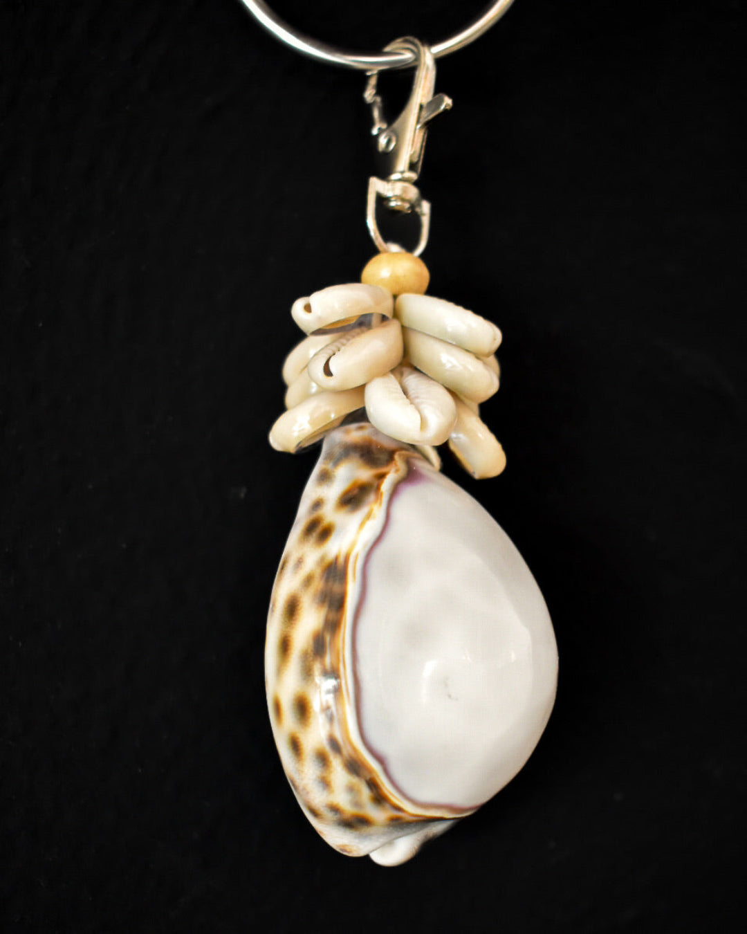 Shell keyring tiger cowrie